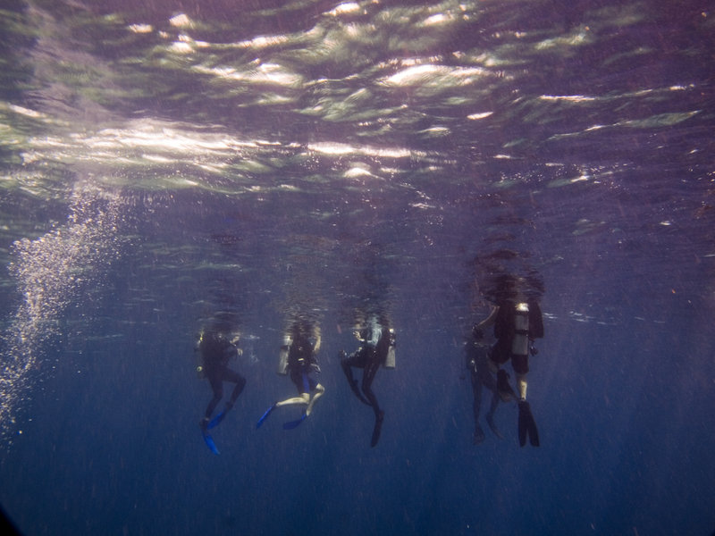 Ascent, Barracuda Point